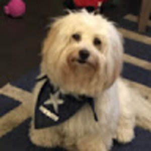 Meet your Posher, Ronald